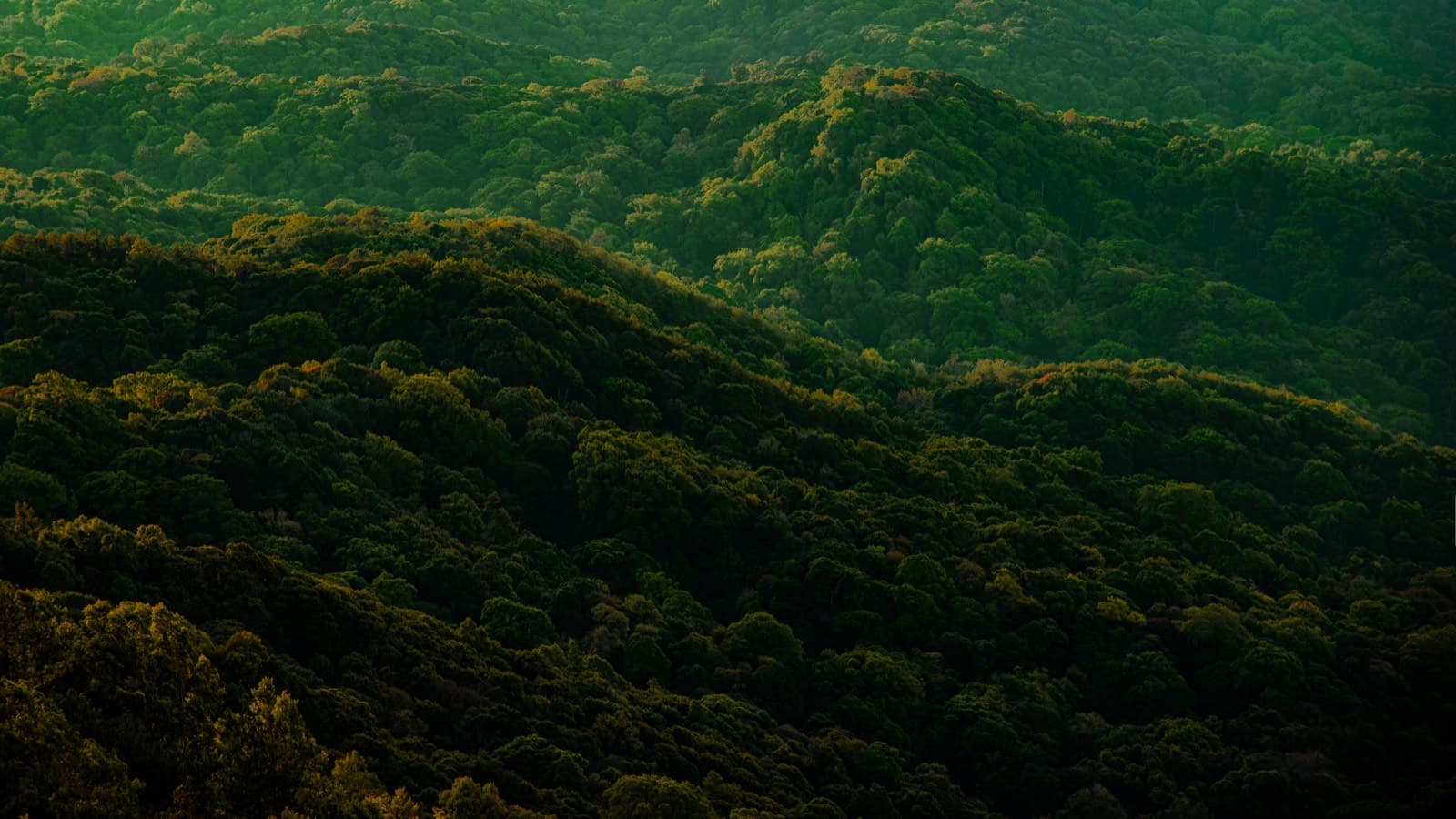 Blue Ridge Mountains